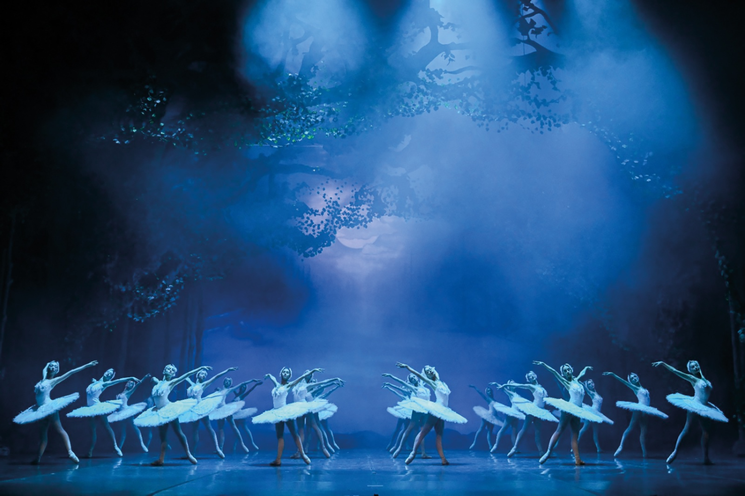8. Uluslararası Efes Opera ve Bale Festivali görkemli bir açılışla başlıyor